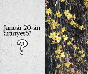 Klímaváltozás, szorongás